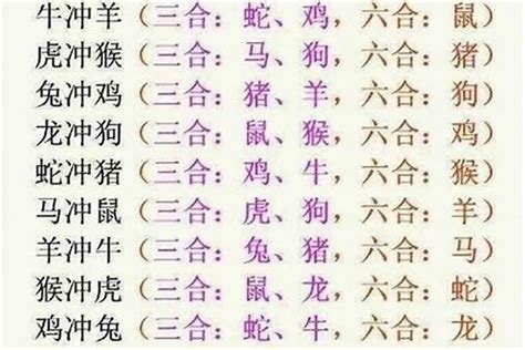 12生肖三合|十二生肖相冲、三合、六合